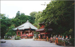 �Ⓦ�R�R�ω���ꏄ��E�Ⓦ�R�R�ω���ꏄ��o�X�c�A�[�\��